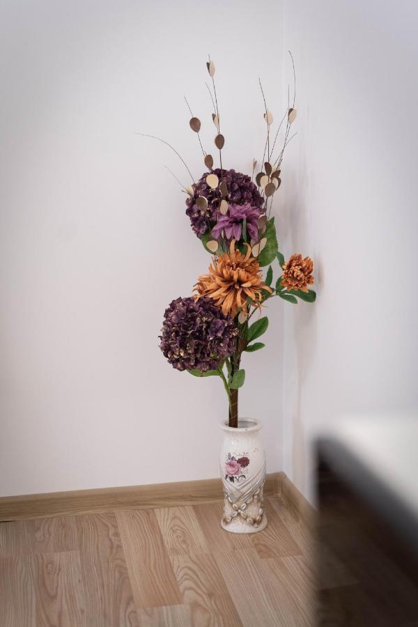 Isaran Coresi Apartment Brasov Exterior photo